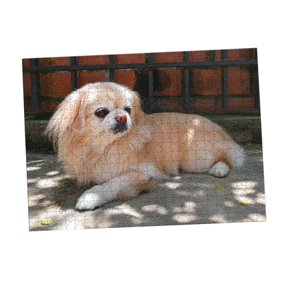 MemoryPaws™ Rompecabezas personalizado