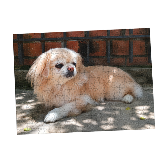 MemoryPaws™ Rompecabezas personalizado